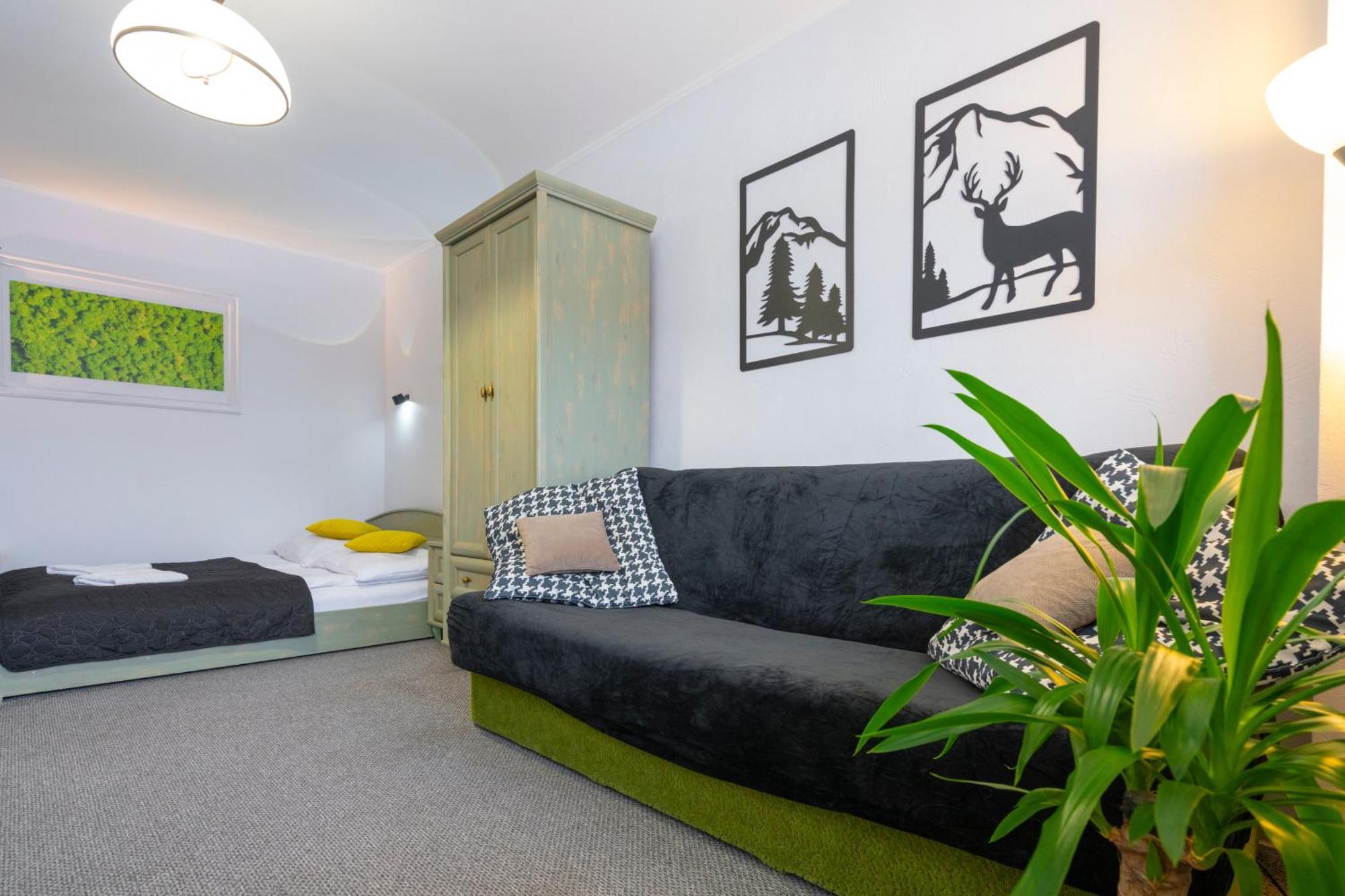 Apartament Nad Kamienczykiem IV شكلارسكا بوريبا المظهر الخارجي الصورة