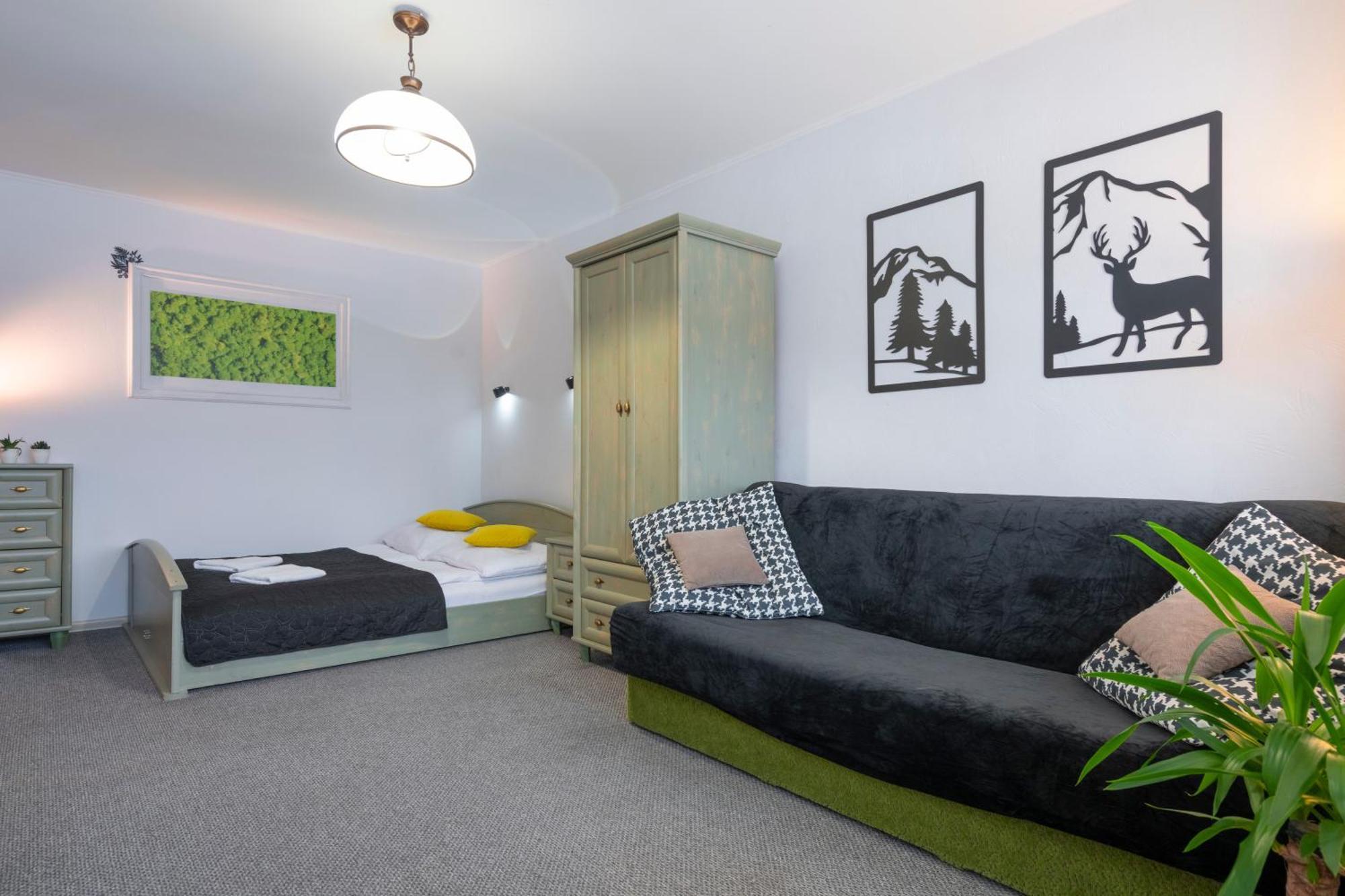 Apartament Nad Kamienczykiem IV شكلارسكا بوريبا المظهر الخارجي الصورة